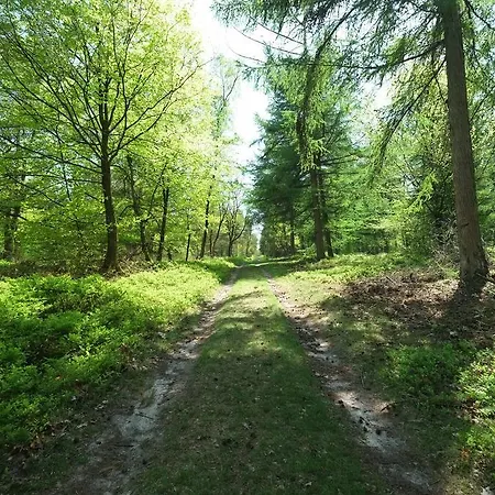 Holiday home Villa Beekbergen